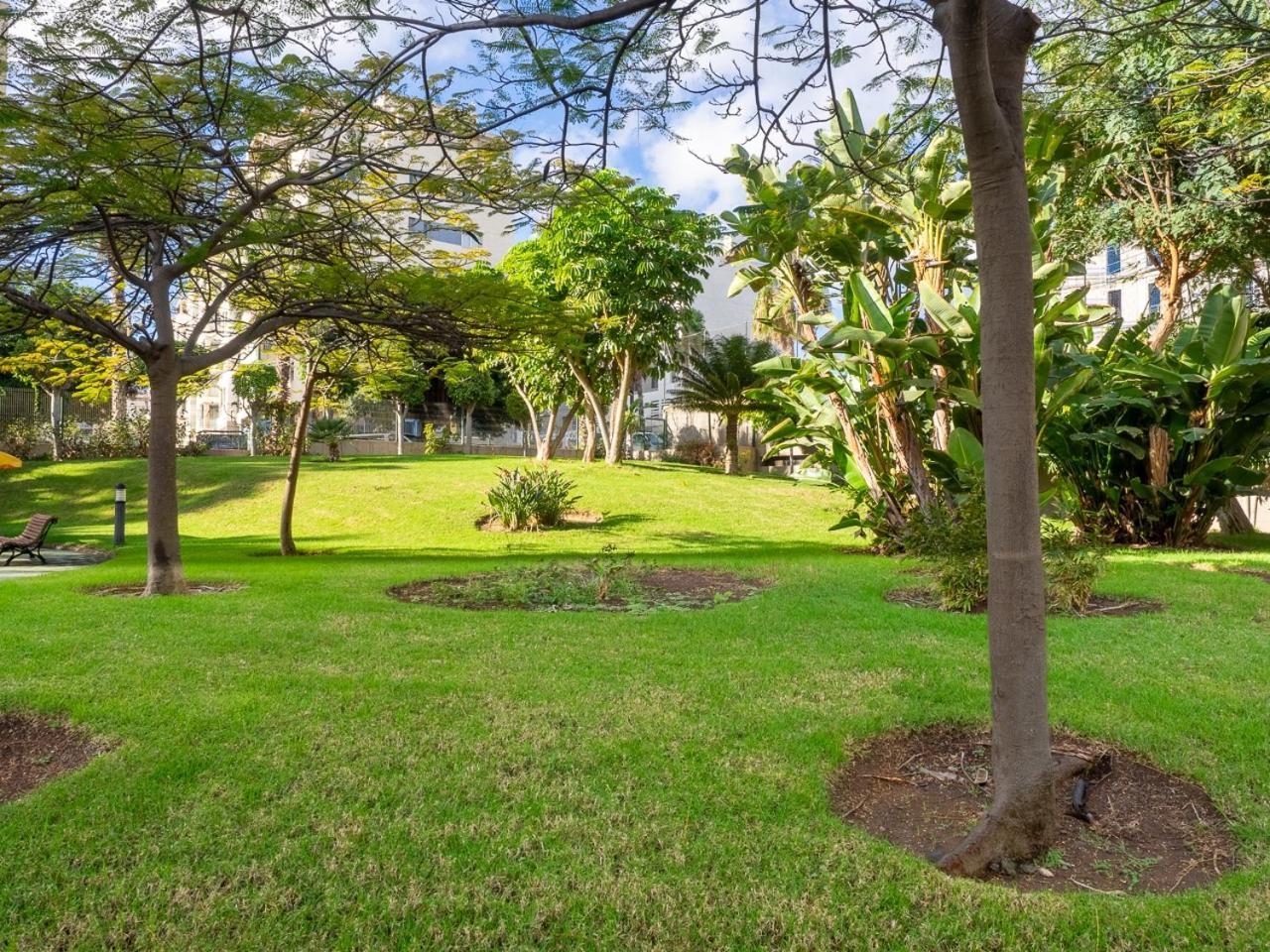 Apartment Abora Garden With Terrace, Pool, Extensive Gardens And Free Parking Λας Πάλμας ντε Γκραν Κανάρια Εξωτερικό φωτογραφία